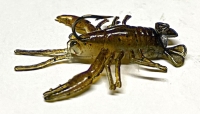 1.5" Lil' Craw